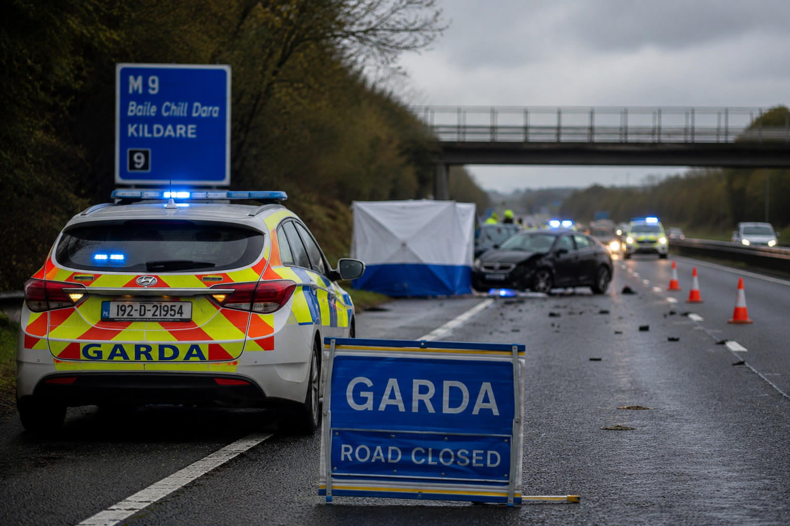 Wśród ofiar tragedii na M9 był Polak. Gardaí badają kryminalną przeszłość nastolatków
